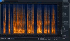 iZotope RX 9 Standard - Upgrade from Any Previous Version of RX Standard, RX Advanced, or RX Post Production Suite