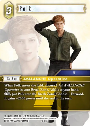 Polk - 18-065C