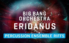 Vienna Symphonic Library Big Bang Orchestra: Eridanus Percussion Ensemble Riffs