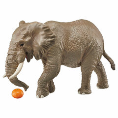 Ania AS-02 African Elephant (w/Orange)