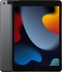 Apple 10.2-inch iPad Wi-Fi + Cellular 256GB - Space Gray