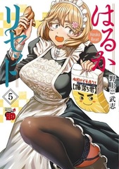 Haruka Reset 5 (BOOK)
