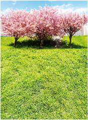 Diorama Sheet PRO EX - Spring A1