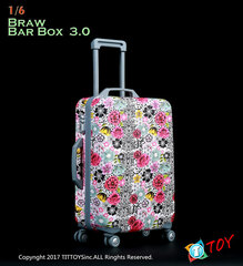 1/6 Suitcase 3.0 Flower Design