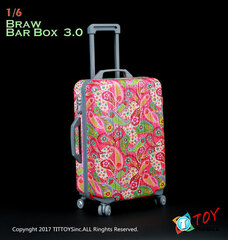 1/6 Suitcase 3.0 Paisley Design