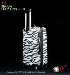 1/6 Suitcase 3.0 Zebra Pattern