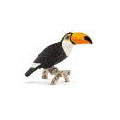 WILD LIFE - Toucan