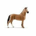 HORSE CLUB - Hanoverian Stallion