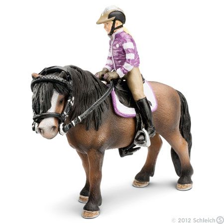 Pony Riding Set