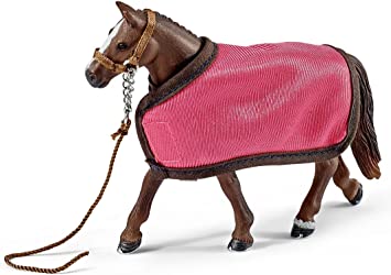 Fly Blanket and Halter