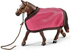 Fly Blanket and Halter
