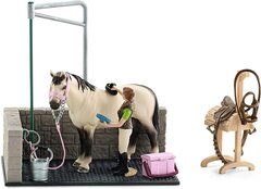 Horse Wash Area
