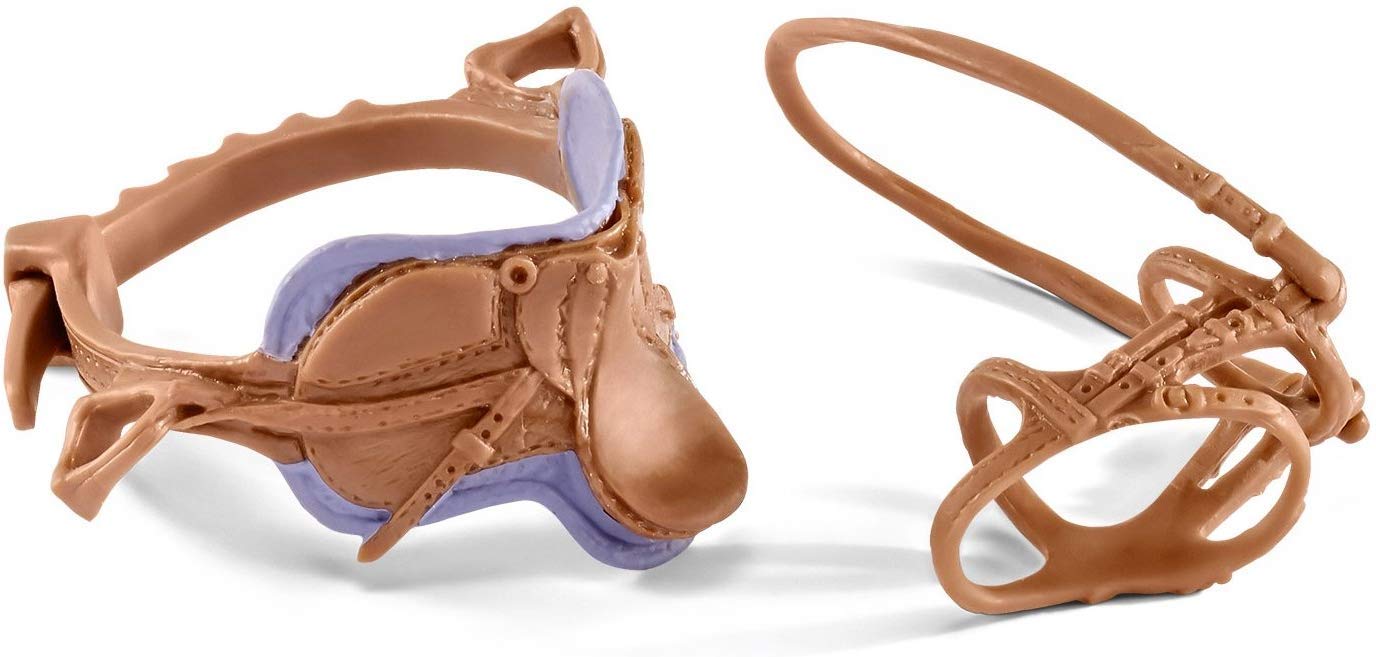 Leisure Saddle + Bridle