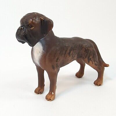Boxer (Male)