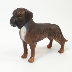 Boxer (Male)