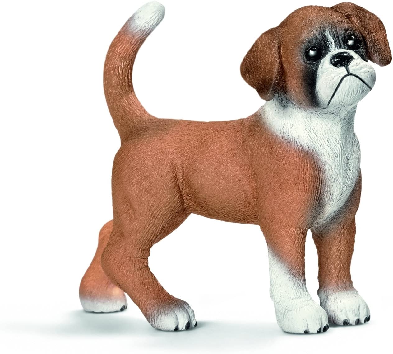 Boxer Puppy