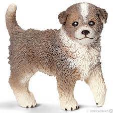 Australian Shepherd Puppy