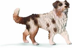 Australian Shepherd (Female)