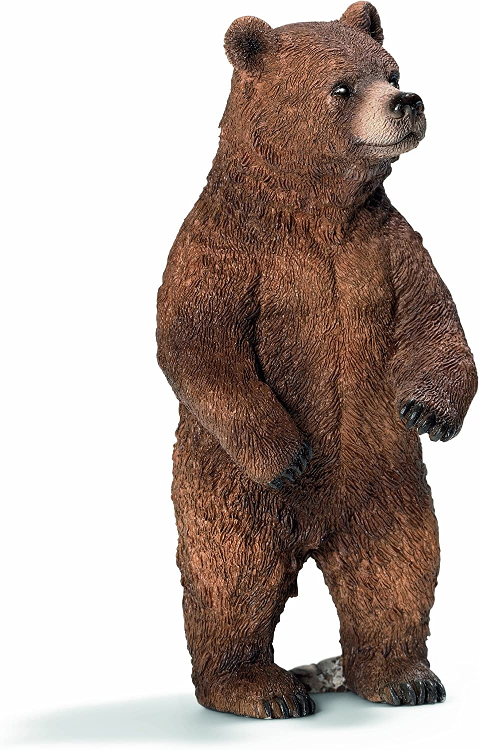 Grizzly Bear (Female)