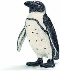 African Penguin