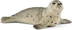Seal Cub