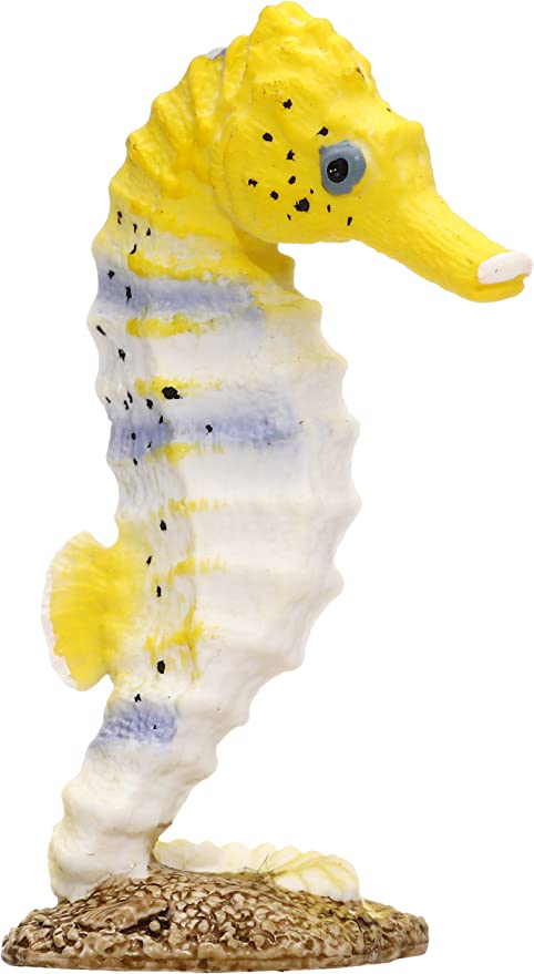 Seahorse