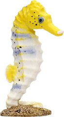 Seahorse