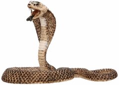 Cobra