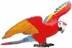 Macaw