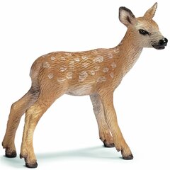 Red Deer Calf