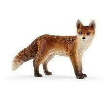 Red Fox