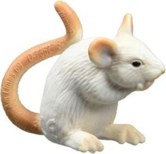 White Mouse