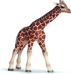 Giraffe Calf