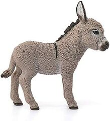 Donkey Foal