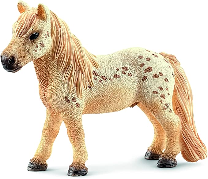 Falabella Gelding