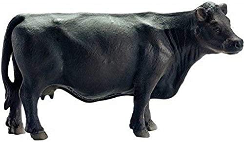 Black Angus Cow