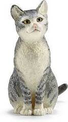 Cat, Sitting