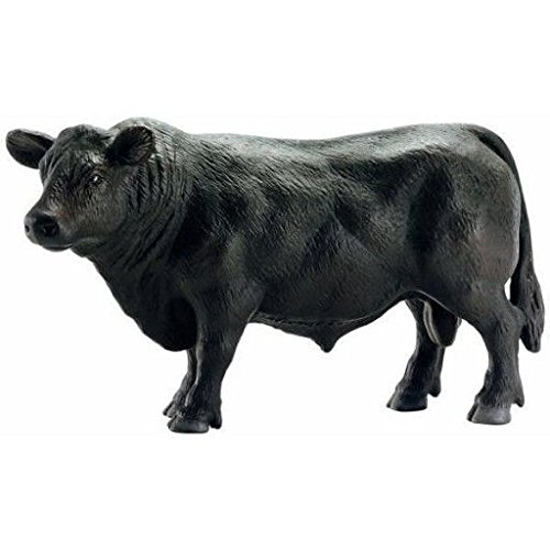 Black Angus Calf