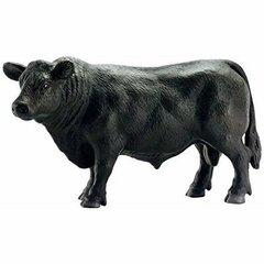 Black Angus Calf