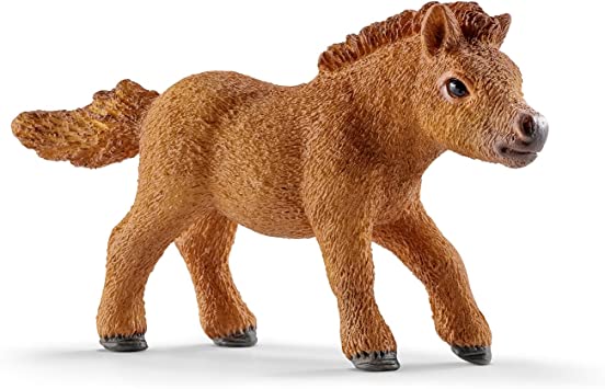 Mini Shetty Foal