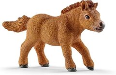 Mini Shetty Foal
