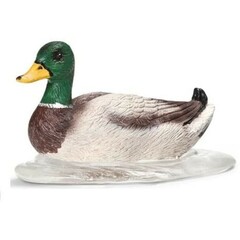Drake, Swimming