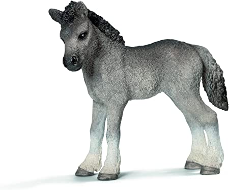 Fell Pony Stallion