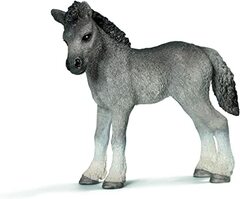 Fell Pony Stallion