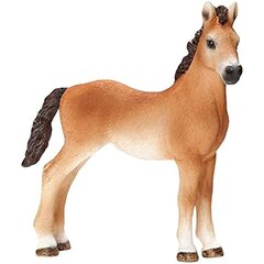 Tennessee Walker Yearling