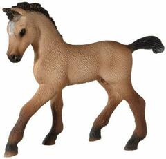 Andalusian Foal