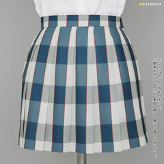 My Teen Romantic Comedy SNAFU. Completion Sobu High School Girl's Uniform Winter Skirt-XL