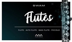Audio Modeling SWAM Flutes Virtual Instrument Software