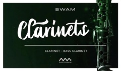 Audio Modeling SWAM Clarinets Virtual Instrument Software