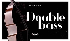 Audio Modeling SWAM Double Bass Virtual Instrument Software
